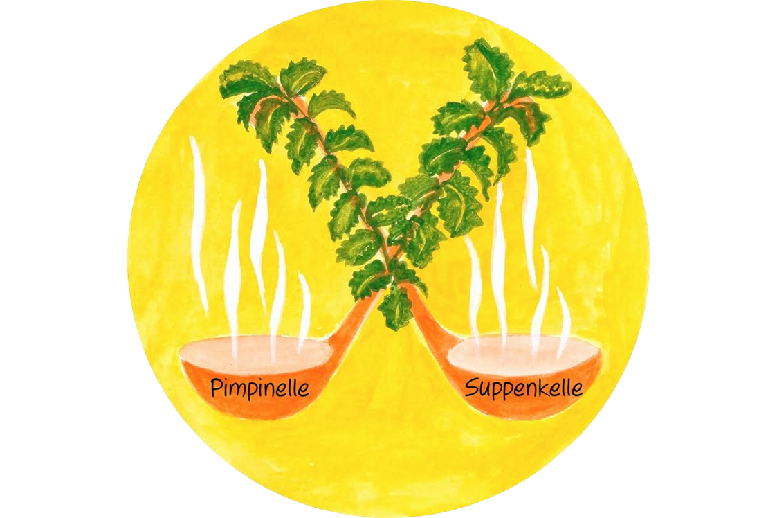 vegetarisches veganes Restaurant: Pimpinelle Suppenkelle