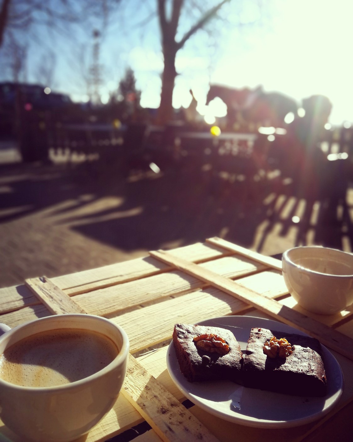 vegetarisches veganes Restaurant: Kaffee und Brownies genießen auf unserer sonnigen, idyllischen Terrasse - Rosinante