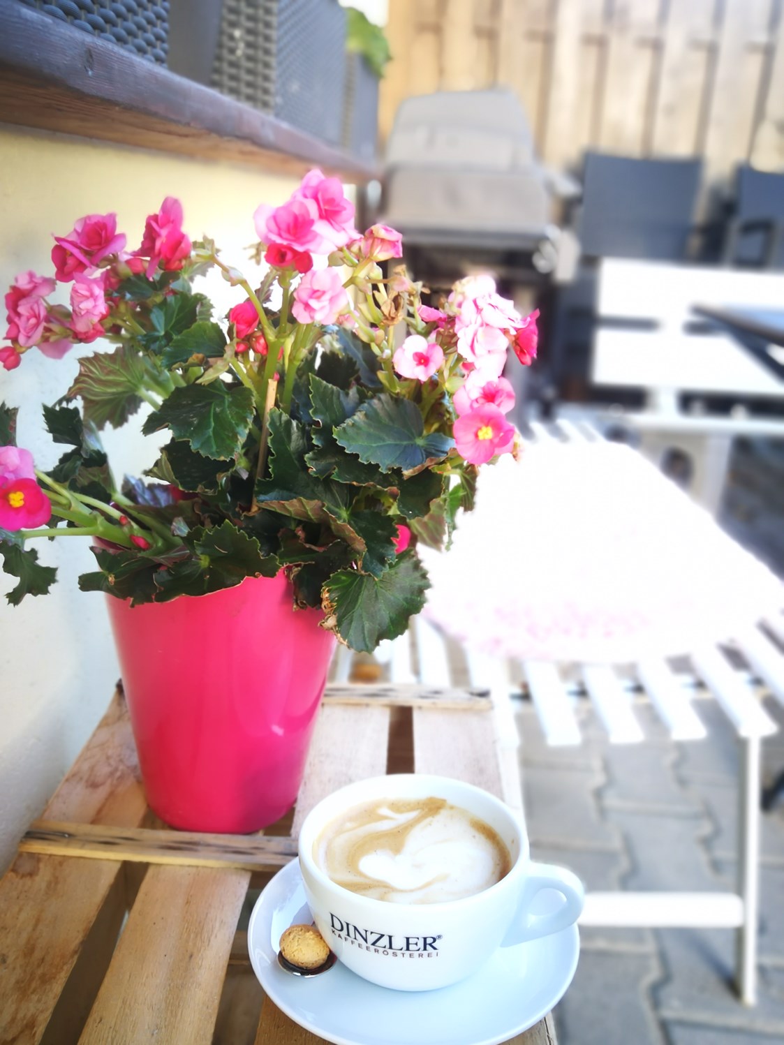 vegetarisches veganes Restaurant: feinsten Dinzler Kaffee auf unserer Terrasse geniesen - Rosinante